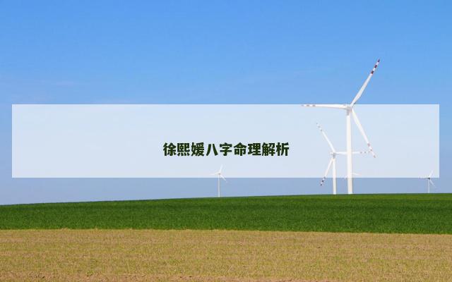 徐熙媛八字命理解析