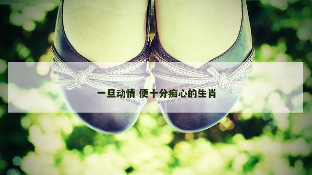 一旦动情 便十分痴心的生肖