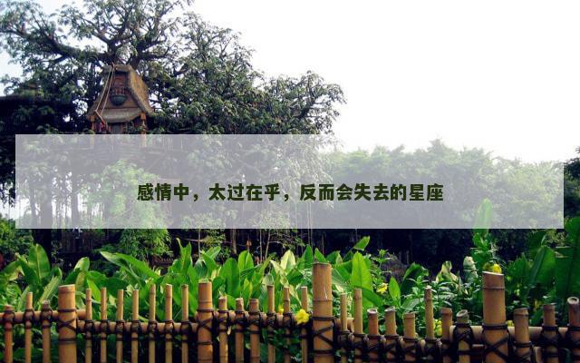 感情中，太过在乎，反而会失去的星座