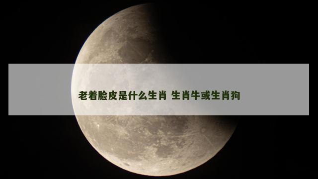 老着脸皮是什么生肖 生肖牛或生肖狗