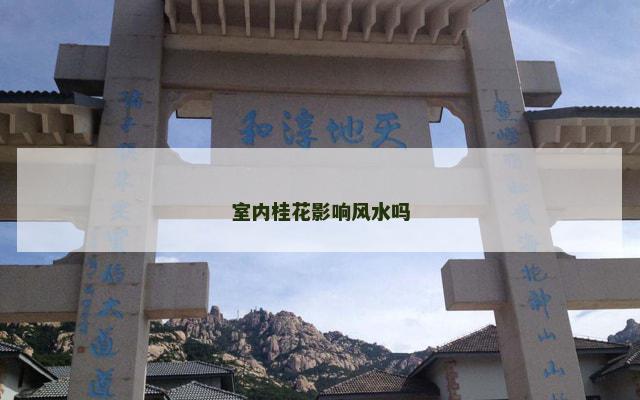 室内桂花影响风水吗