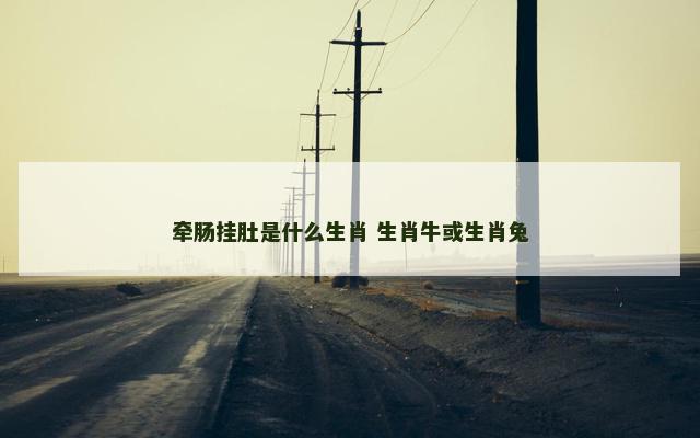 牵肠挂肚是什么生肖 生肖牛或生肖兔