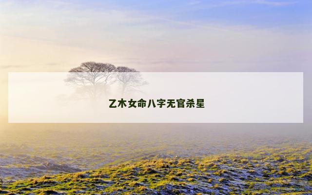 乙木女命八字无官杀星