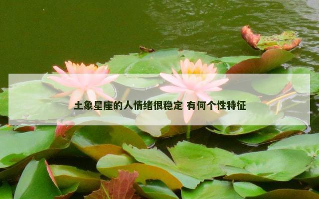 土象星座的人情绪很稳定 有何个性特征