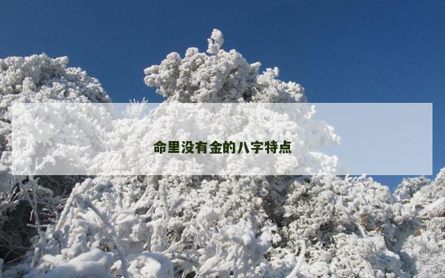 命里没有金的八字特点