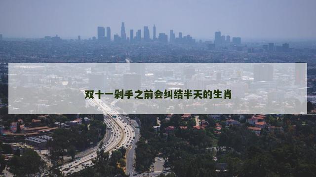 双十一剁手之前会纠结半天的生肖