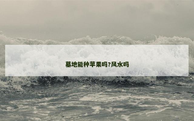 墓地能种苹果吗?风水吗