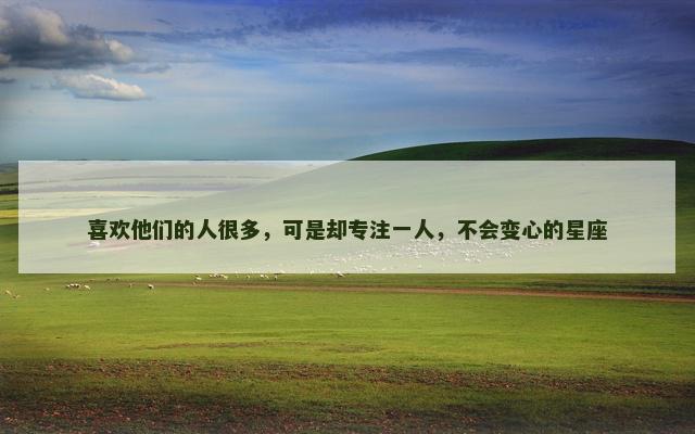 喜欢他们的人很多，可是却专注一人，不会变心的星座