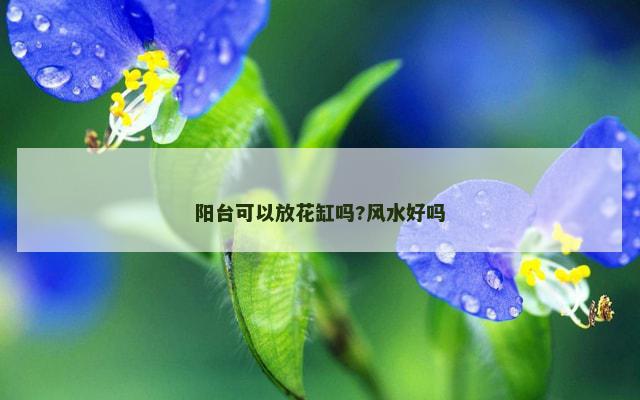 阳台可以放花缸吗?风水好吗