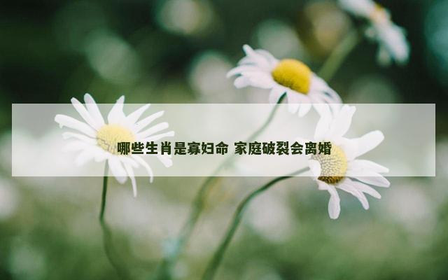 哪些生肖是寡妇命 家庭破裂会离婚