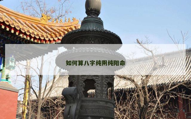 如何算八字纯阴纯阳命