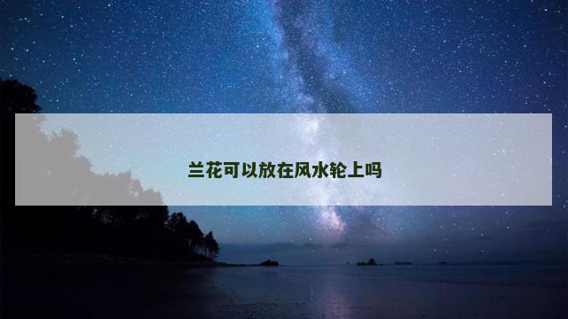 兰花可以放在风水轮上吗