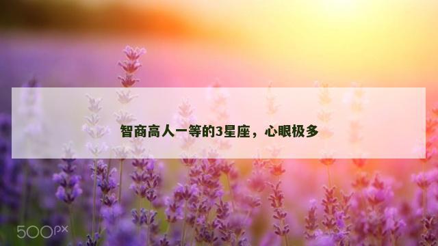 智商高人一等的3星座，心眼极多