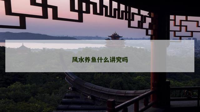 风水养鱼什么讲究吗