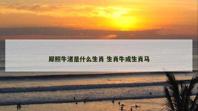 犀照牛渚是什么生肖 生肖牛或生肖马