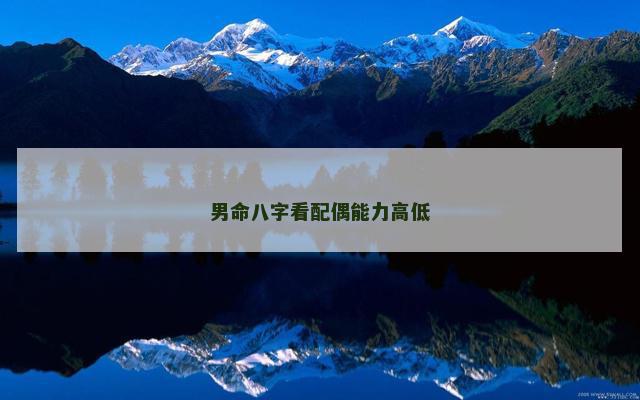 男命八字看配偶能力高低