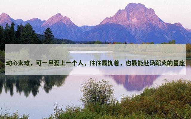 动心太难，可一旦爱上一个人，往往最执着，也最能赴汤蹈火的星座