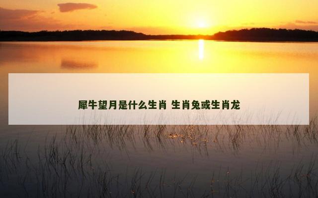 犀牛望月是什么生肖 生肖兔或生肖龙