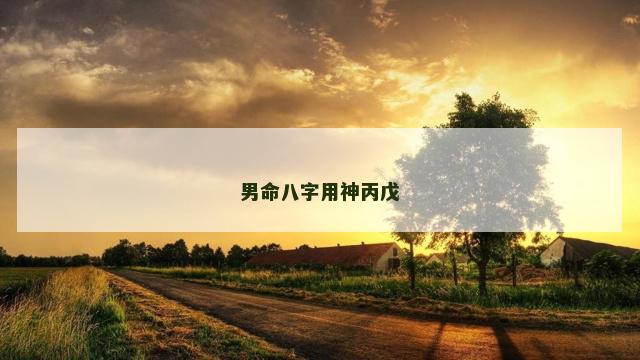 男命八字用神丙戊