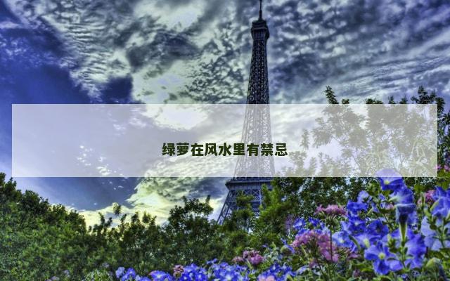绿萝在风水里有禁忌