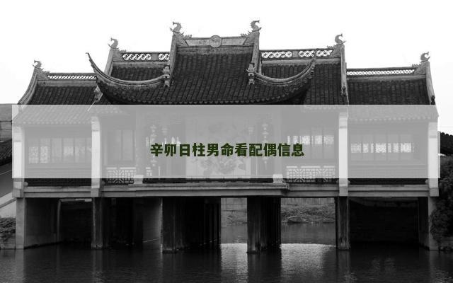 辛卯日柱男命看配偶信息