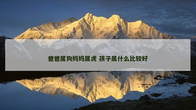 爸爸属狗妈妈属虎 孩子属什么比较好