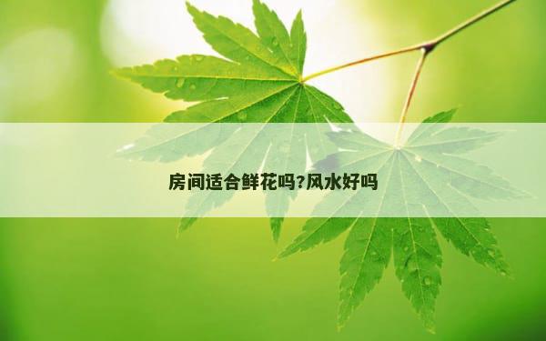 房间适合鲜花吗?风水好吗