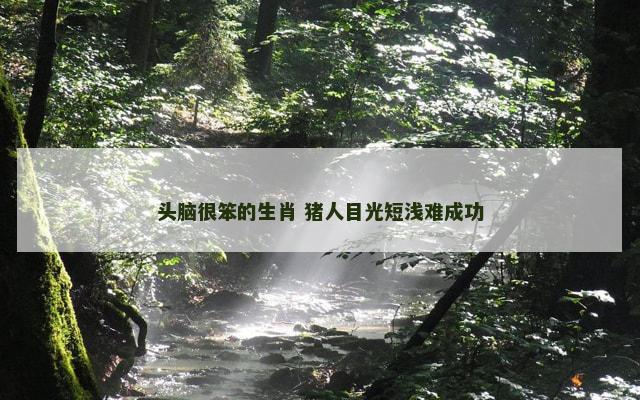 头脑很笨的生肖 猪人目光短浅难成功