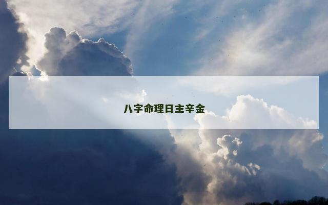 八字命理日主辛金