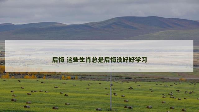 后悔 这些生肖总是后悔没好好学习