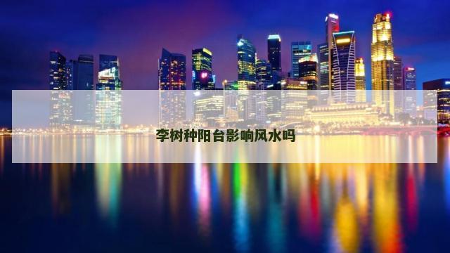 李树种阳台影响风水吗