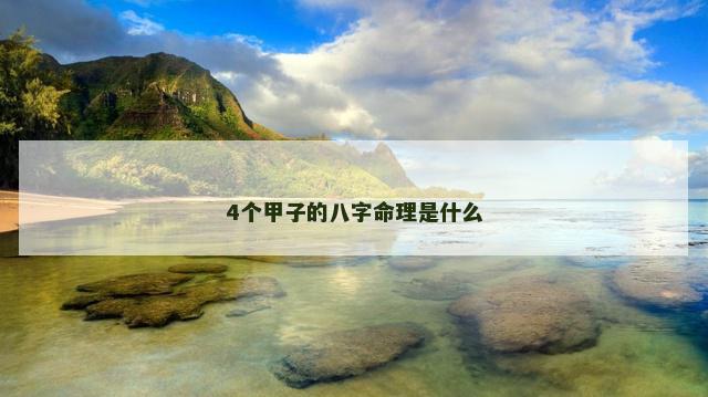 4个甲子的八字命理是什么