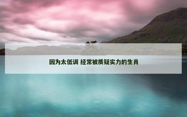 因为太低调 经常被质疑实力的生肖