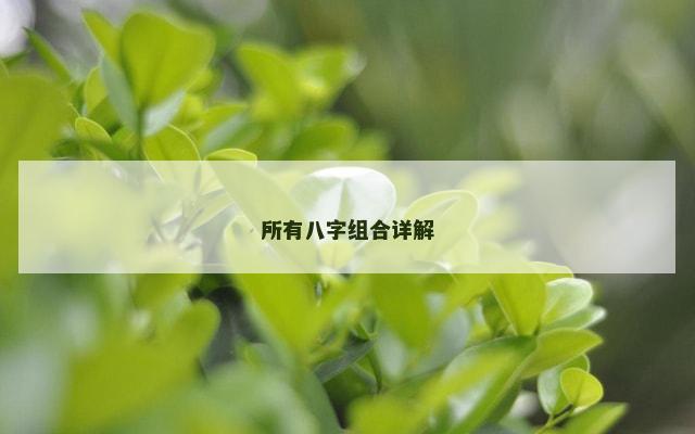 所有八字组合详解
