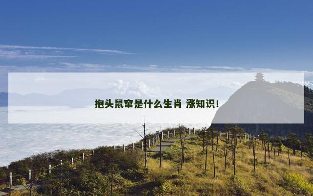 抱头鼠窜是什么生肖 涨知识！