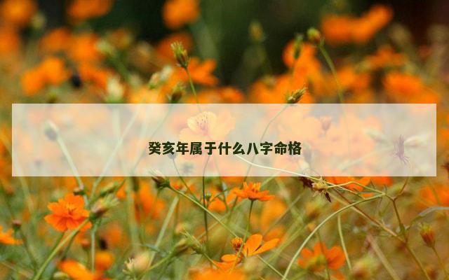癸亥年属于什么八字命格