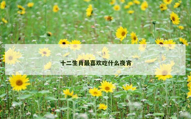 十二生肖最喜欢吃什么夜宵