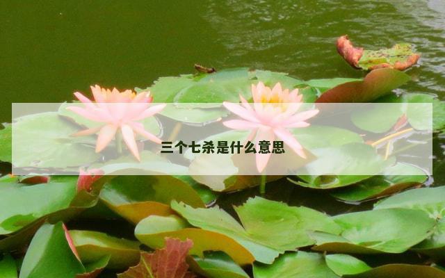 三个七杀是什么意思
