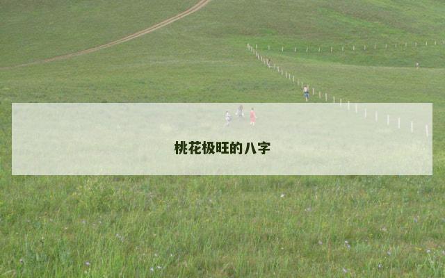 桃花极旺的八字