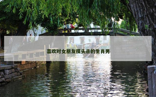 喜欢对女朋友摸头杀的生肖男