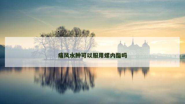 痛风水肿可以服用螺内酯吗