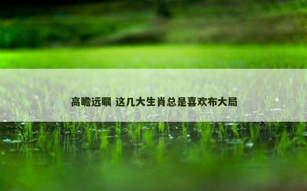 高瞻远瞩 这几大生肖总是喜欢布大局