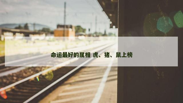 命运最好的属相 虎、猪、鼠上榜