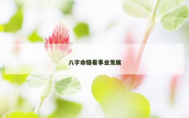 八字命格看事业发展