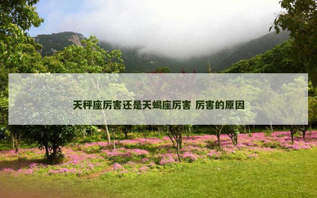 天秤座厉害还是天蝎座厉害 厉害的原因