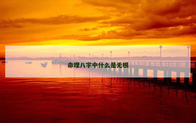 命理八字中什么是无根
