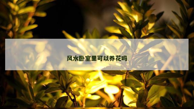 风水卧室里可以养花吗