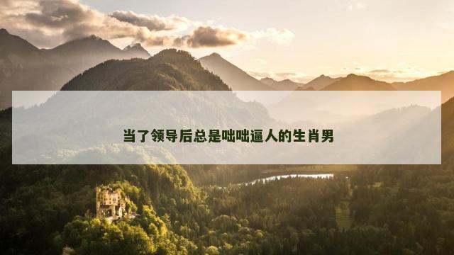 当了领导后总是咄咄逼人的生肖男
