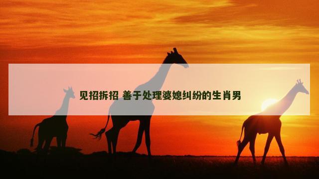 见招拆招 善于处理婆媳纠纷的生肖男