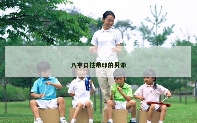 八字日柱带印的男命